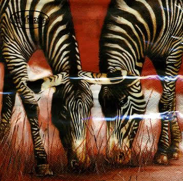 20 Servietten - 33 x 33 cm Friends,  Tiere - Zebras,  Regionen - Afrika,  Everyday,  lunchservietten