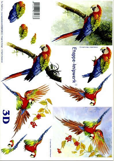 3D Bogen Papagei - Format A4,  Tiere - Vögel,  Tiere -  Sonstige,  Le Suh,  3D Bogen,  Papagei,  Vögel,  Vogel