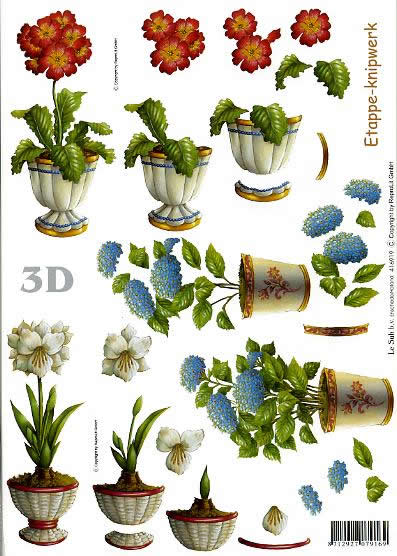 3D Bogen Blumen im Topf - Format A4,  Blumen - Primeln,  Blumen -  Sonstige,  Le Suh,  3D Bogen,  Blumen im Topf