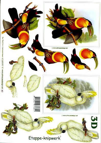 3D Bogen Tukan + Kakadu - Format A4,  Tiere - Vögel,  Tiere -  Sonstige,  Le Suh,  3D Bogen,  Tukan + Kakadu