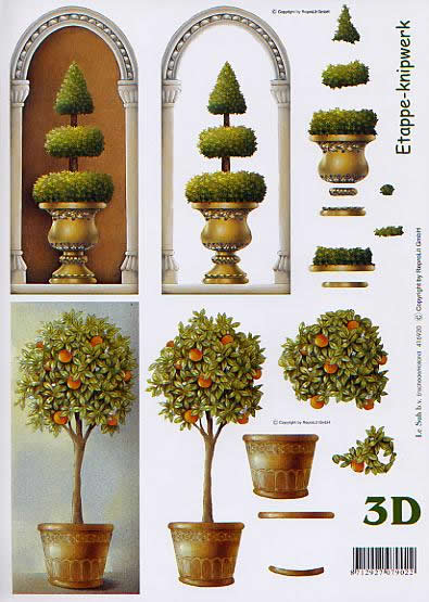 3D Bogen Apfelsinenbaum - Format A4,  Früchte -  Sonstige,  Pflanzen -  Sonstige,  Le Suh,  3D Bogen,  Apfelsinenbaum