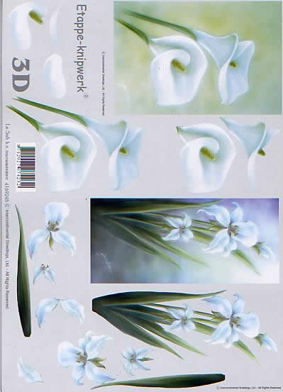 3D Bogen Aronstab - Format A4,  Blumen -  Sonstige,  Le Suh,  Frühjahr,  3D Bogen,  Orchidee,  Kondolenz
