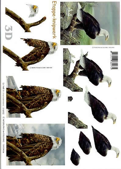 3D Bogen Adler - Format A4,  Tiere - Vögel,  Tiere -  Sonstige,  Le Suh,  3D Bogen,  Adler