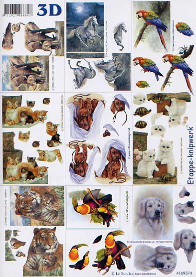 3D Bogen Klein Tiere - Format A4, Regionen - Afrika,  Tiere - Hunde,  Tiere - Katzen,  Le Suh,  3D Bogen,  Klein Tiere,  Vögel,  Elefanten,  Tiger,  Pferd