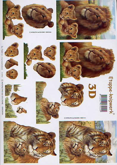 3D Bogen Tiger + Löwe - Format A4, Tiere - Tiger,  Tiere - Löwen,  Regionen - Afrika,  Le Suh,  3D Bogen,  Savanne,  Löwenbabys,  Steppe