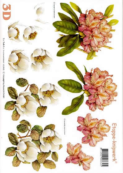 3D Bogen Rhodedendron/weiß - Format A4,  Blumen - Rosen,  Blumen -  Sonstige,  Le Suh,  3D Bogen,  Rhodedendron/weiß