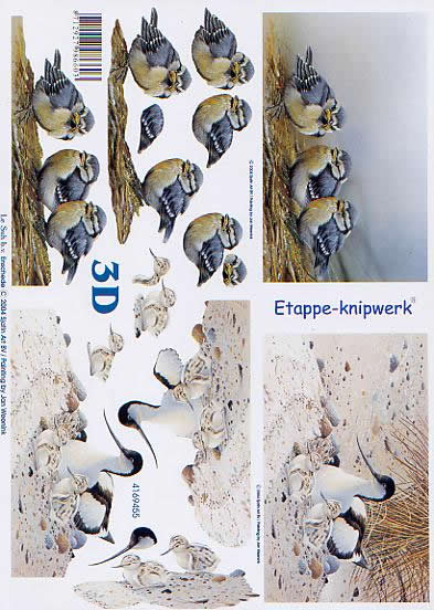 3D Bogen Blaumeise - Format A4, Regionen - Strand / Meer,  Tiere - Vögel,  Tiere -  Sonstige,  Le Suh,  3D Bogen,  Blaumeise