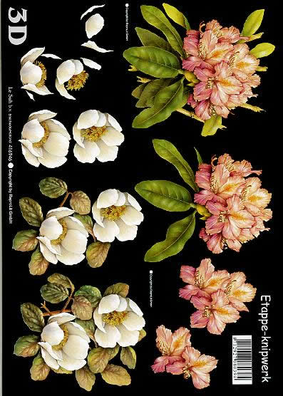 3D Bogen Rhodedendron/schwarz - Format A4,  Blumen -  Sonstige,  Le Suh,  Frühjahr,  3D Bogen,  Rhodedendron/schwarz