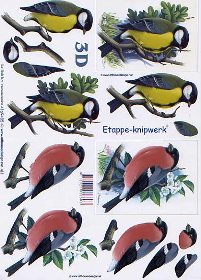 3D Bogen Blaumeise - Format A4,  Tiere - Vögel,  Tiere -  Sonstige,  Le Suh,  3D Bogen,  Blaumeise auf Zweig