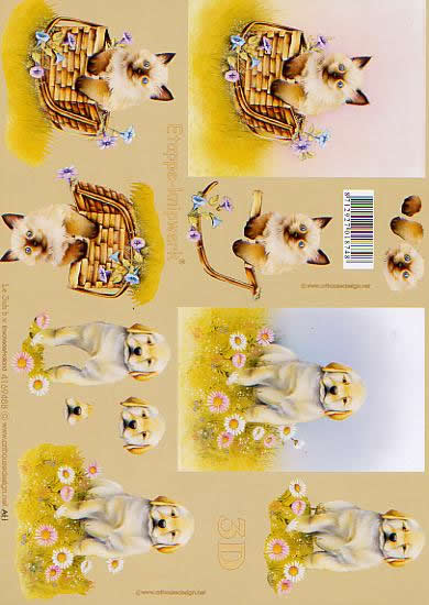 3D Bogen Katze + Hund - Format A4, Tiere - Hunde,  Tiere - Katzen,  Tiere -  Sonstige,  Le Suh,  3D Bogen,  Blumenwiese,  Katze im Korb