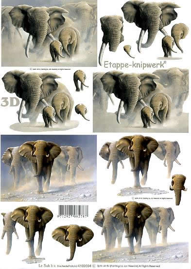 3D Bogen Elefanten - Format A4, Regionen - Länder,  Tiere - Elefanten,  Tiere -  Sonstige,  Le Suh,  3D Bogen,  Elefanten in der Wüste