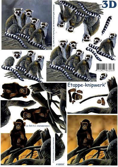 3D Bogen Affen - Format A4,  Regionen -  Sonstige,  Tiere -  Sonstige,  Le Suh,  3D Bogen,  Affen