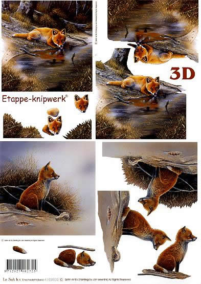 3D Bogen Füchse - Format A4,  Regionen - Wald / Wiesen,  Le Suh,  Frühjahr,  3D Bogen,  Füchse,  Tiere im Wald