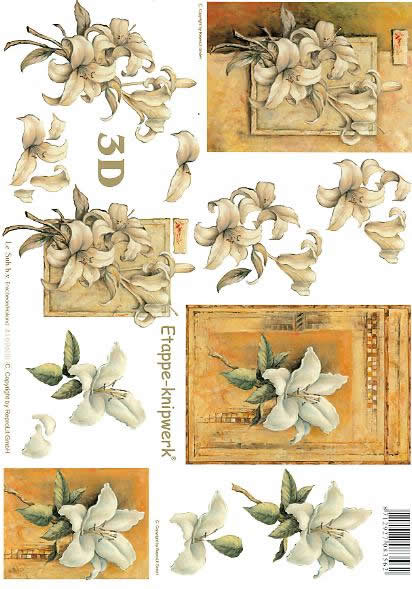 3D Bogen Kondolenz - Format A4,  Blumen -  Sonstige,  Le Suh,  Frühjahr,  3D Bogen,  Kondolenz,  Trauer,  Lilie