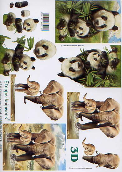 3D Bogen Panda + Elefant - Format A4,  Tiere - Elefanten,  Tiere -  Sonstige,  Le Suh,  3D Bogen,  Panda + Elefant