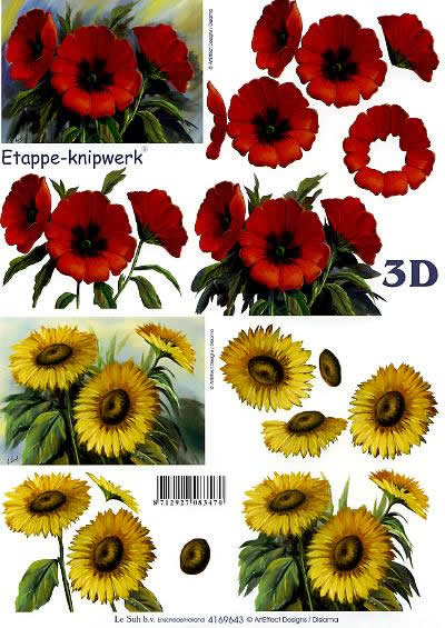 3D Bogen Mohn + Sonnenblume - Format A4, Blumen - Mohn,  Blumen - Sonnenblumen,  Blumen -  Sonstige,  Le Suh,  3D Bogen,  Roter Klatschmohn,  Gelbe Sonnenblumen