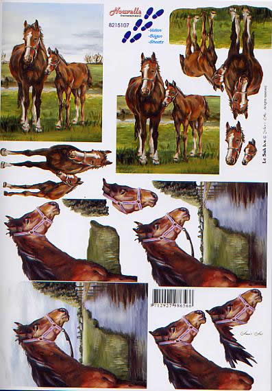 3D Bogen Pferde - Format A4, Tiere - Pferde,  Tiere -  Sonstige,  Sport - Reiten,  Le Suh,  3D Bogen,  Pferde auf der Weide am Ufer
