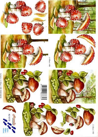 3D Bogen Pilze - Format A4, Früchte - Pilze,  Früchte - Erdbeeren,  Regionen - Wald / Wiesen,  Le Suh,  Herbst,  3D Bogen,  Waldfrüchte,  Fliegenpilz und Steinpilz