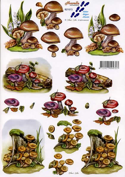 3D Bogen Pilze - Format A4, Regionen - Wald / Wiesen,  Früchte -  Sonstige,  Früchte - Pilze,  Le Suh,  Herbst,  3D Bogen,  Pilze,  Blumen