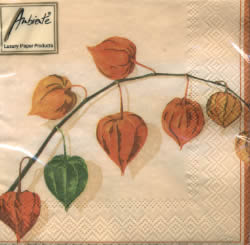 20 Servietten - 25 x 25 cm ,  Blumen -  Sonstige,  Herbst,  cocktail servietten,  Lampionblume