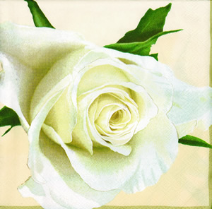 20 Servietten - 25 x 25 cm WHITE ROSE CREME,  Blumen - Rosen,  Sommer,  cocktail servietten