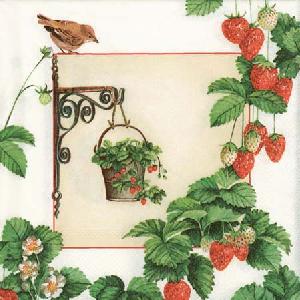 20 Servietten - 25 x 25 cm HANGING FRUIT CREME,  Früchte - Erdbeeren,  Sommer,  cocktail servietten