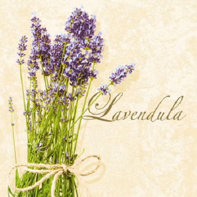 20 Servietten - 25 x 25 cm LAVENDULA CREAM,  Sonstiges - Schriften,  Blumen - Lavendel,  Sommer,  cocktail servietten