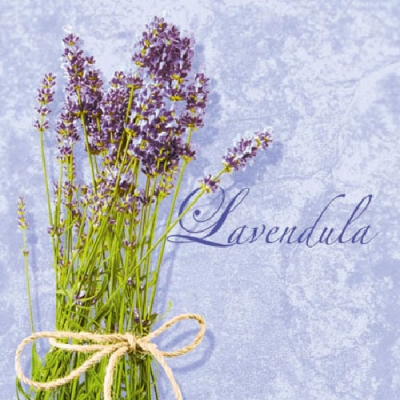 20 Servietten - 25 x 25 cm LAVENDULA LILA,  Regionen - Länder - Frankreich,  Blumen - Lavendel,  Sommer,  cocktail servietten