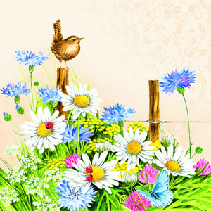 20 napkins - 25 x 25 cm SPRING FEELING CREAM, Animals - birds,  Flowers - Magariten,  Animals - ladybugs,  Flowers - other,  Spring,  cocktail napkins,  Flower-meadow