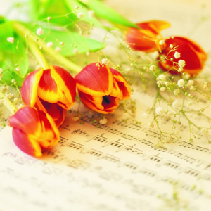 20 Servietten - 25 x 25 cm MUSICAL FLOWERS, Sonstiges -  Sonstiges,  Blumen - Tulpen,  Sonstiges - Musik,  Blumen -  Sonstige,  Frühjahr,  cocktail servietten,  Notenblatt