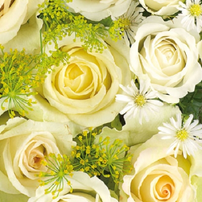 20 Servietten - 25 x 25 cm WEDDING ROSES, Blumen - Rosen,  Ereignisse -  Sonstige,  Blumen - Magariten,  Blumen -  Sonstige,  Sommer,  cocktail servietten,  Hochzeit,  Rosenstrauß