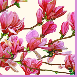 20 Servietten - 25 x 25 cm MAGNOLIA GARDEN CREAM,  Pflanzen,  Blumen,  Frühjahr,  cocktail servietten,  Tulpenbaum,  Magnolien