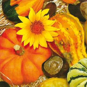20 Servietten - 25 x 25 cm PUMPKIN SUNFLOWER,  Früchte - Kürbisse,  Früchte - Kastanien,  Blumen - Sonnenblumen,  Herbst,  cocktail servietten,  Herbstdeko