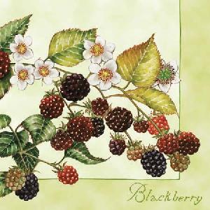 20 Servietten - 25 x 25 cm BLACK BERRIES GREEN,  Früchte - Brombeeren,  Sommer,  cocktail servietten