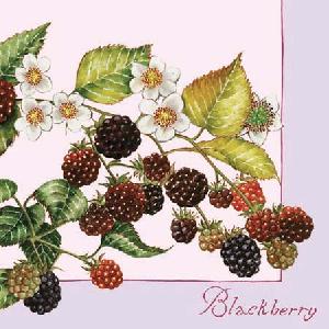 20 Servietten - 25 x 25 cm BLACK BERRIES LILA,  Früchte - Brombeeren,  Sommer,  cocktail servietten