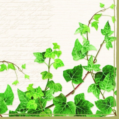 20 Servietten - 25 x 25 cm TENDRIL CREAM,  Sonstiges - Schriften,  Pflanzen - Efeu,  Frühjahr,  cocktail servietten
