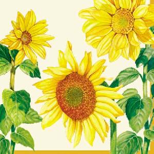 20 Servietten - 25 x 25 cm HELIANTHUS CREAM,  Blumen - Sonnenblumen,  Sommer,  cocktail servietten