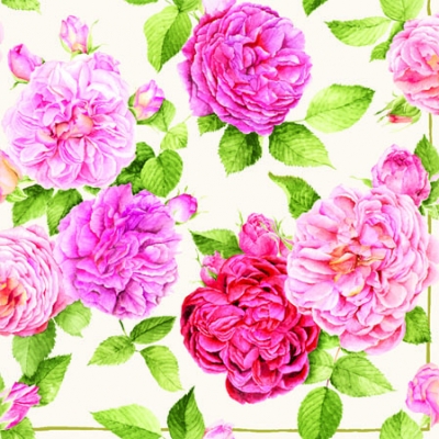 20 napkins - 25 x 25 cm BEAUTIFUL ROSE,  Flowers - roses,  Summers,  cocktail napkins