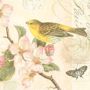 20 Servietten - 25 x 25 cm BIRDS AND BLOSSOM,  Tiere - Vögel,  Tiere - Schmetterlinge,  Frühjahr,  cocktail servietten,  Kirschblüte