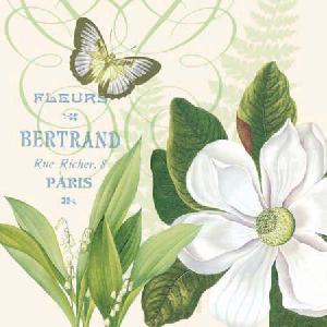 20 napkins - 25 x 25 cm MAGNOLIA FLEURS CREAM,  Other - writings,  Animals - butterflies,  Flowers - other,  Spring,  cocktail napkins