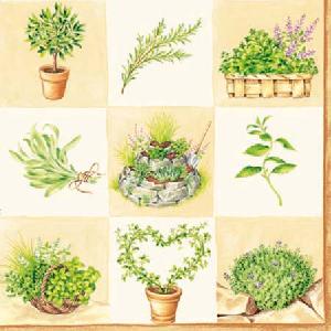 20 Servietten - 25 x 25 cm HERBS CREAM,  Regionen - Mediteran,  Essen - Gewürze,  Sommer,  cocktail servietten,  Salbei,  Thymian,  Rosmarin,  Basilikum