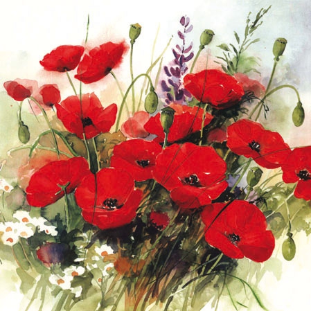 20 Servietten - 25 x 25 cm WILD POPPIES,  Blumen - Mohn,  Sommer,  cocktail servietten