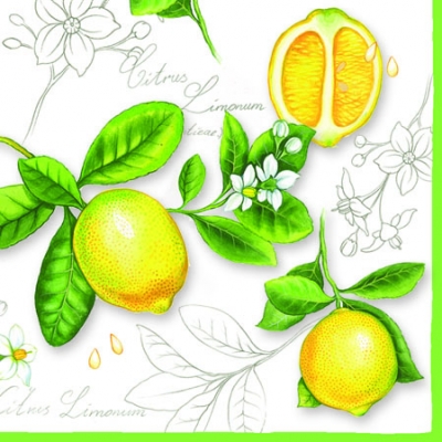 20 Servietten - 25 x 25 cm CITRUS LIMONUM,  Früchte - Südfrüchte,  Sommer,  cocktail servietten,  Zitronen