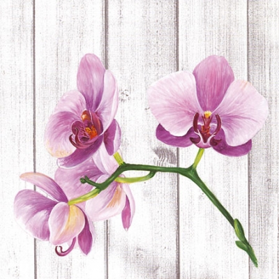 20 Servietten - 25 x 25 cm SINGLE ORCHID,  Blumen - Orchideen,  Winter,  cocktail servietten