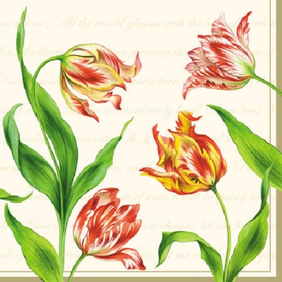 20 Servietten - 25 x 25 cm CLASSIC TULIPS CREAM,  Blumen - Tulpen,  Frühjahr,  cocktail servietten