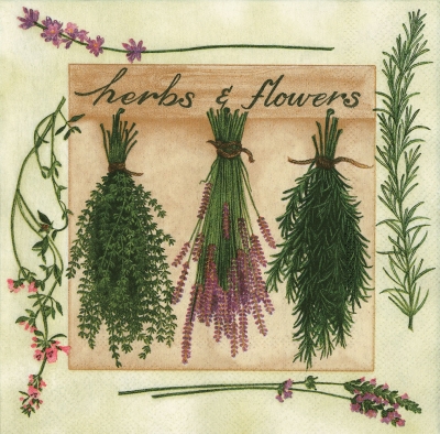 20 Servietten - 33 x 33 cm HERBS & FLOWERS CREM,  Pflanzen - Küchenkräuter,  Regionen - Mediteran,  Herbst,  Sommer,  lunchservietten,  Lavendel,  Rosmarien