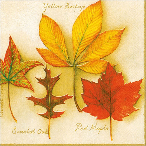 20 Servietten - 33 x 33 cm AUTUMN LEAVES CREME,  Herbst - Blätter / Laub,  Herbst,  lunchservietten