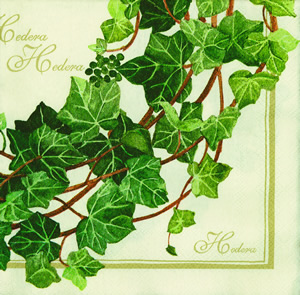 20 Servietten - 33 x 33 cm HEDERA CREME,  Pflanzen,  Pflanzen -  Sonstige,  Pflanzen - Efeu,  Sommer,  lunchservietten,  Efeukranz