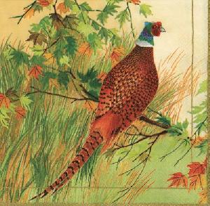 20 Servietten - 33 x 33 cm FAISAN,  Regionen - Wald / Wiesen,  Tiere -  Sonstige,  Sommer,  Herbst,  lunchservietten,  Fasan