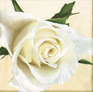 20 Servietten - 33 x 33 cm WHITE ROSE CREME, Ereignisse - Hochzeit,  Blumen,  Blumen -  Sonstige,  Blumen - Rosen,  Sommer,  lunchservietten,  Weiße Rosenköpfe
